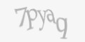 Защитный код